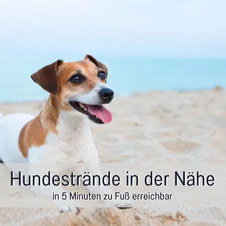 - Meerblick, Sauna, Fitness, Balkon - Meerzeit Daire *